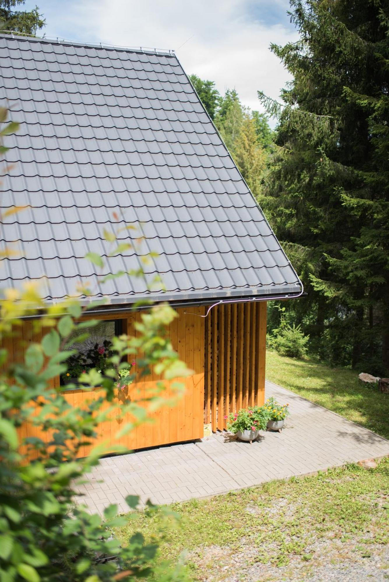 Lesna Kokava Villa Rimakokova Kültér fotó
