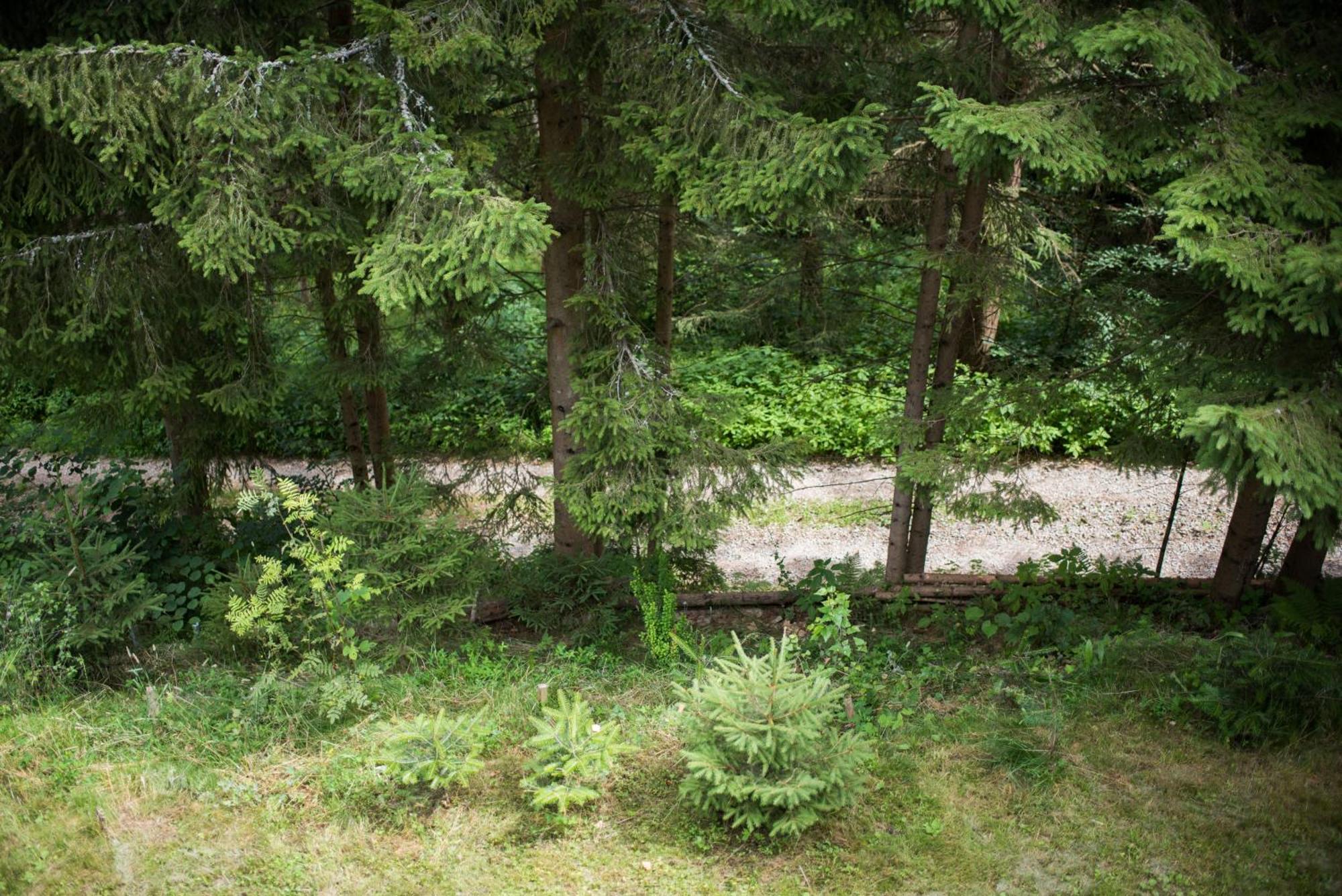 Lesna Kokava Villa Rimakokova Kültér fotó